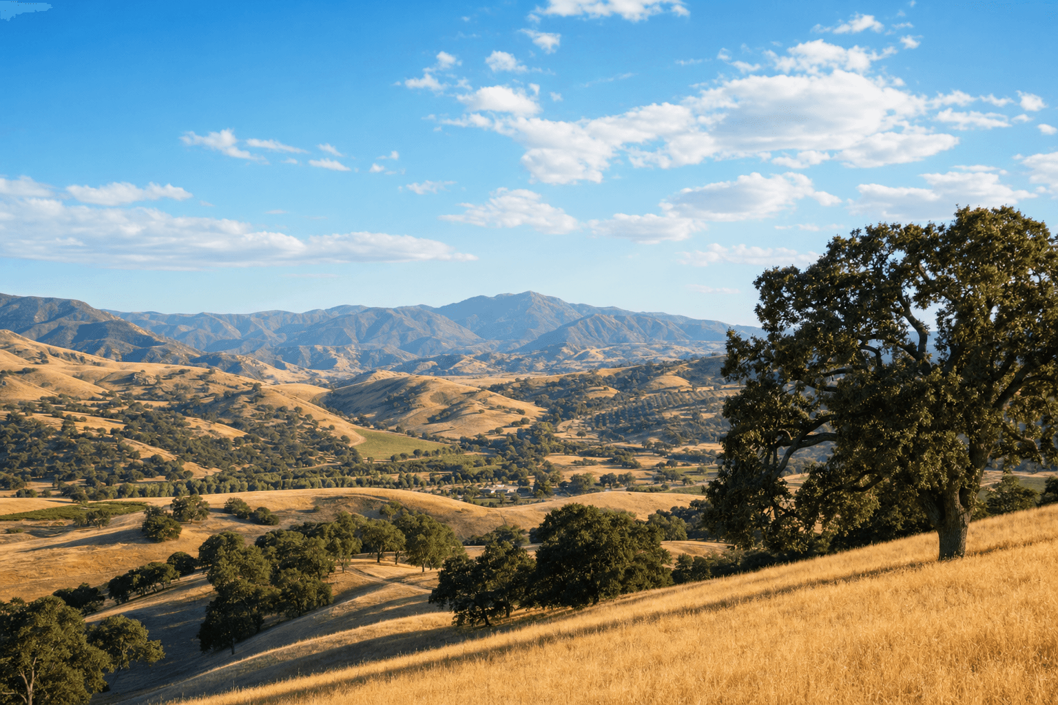 Scenic Riverside County California landscape with rolling hills, golden grasslands, and distant mountains under a blue sky